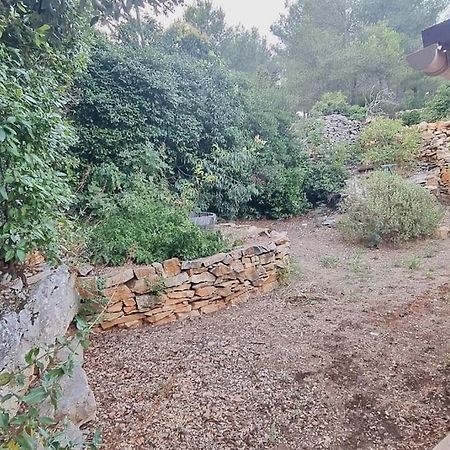 לה קיוטאט Maisonnette Chez L'Habitant מראה חיצוני תמונה