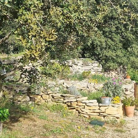 לה קיוטאט Maisonnette Chez L'Habitant מראה חיצוני תמונה