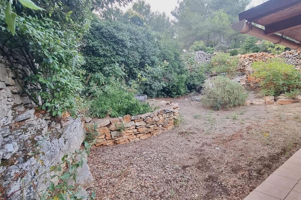 לה קיוטאט Maisonnette Chez L'Habitant מראה חיצוני תמונה